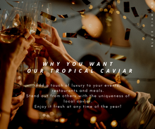 将图片加载到图库查看器,Hybrid Kaluga Amur 30g