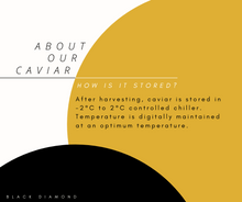 将图片加载到图库查看器,Hybrid Kaluga Amur 30g