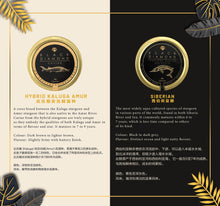 Load image into Gallery viewer, DOPPELT Gifts Set