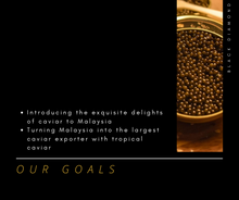 Load image into Gallery viewer, Hybrid Kaluga Amur 30g
