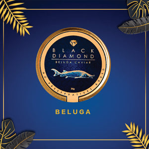 Beluga 30g
